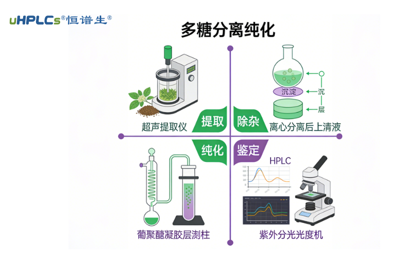 深耕多糖分析制备纯化技术：从原料到高纯度产品的全流程解决方案！