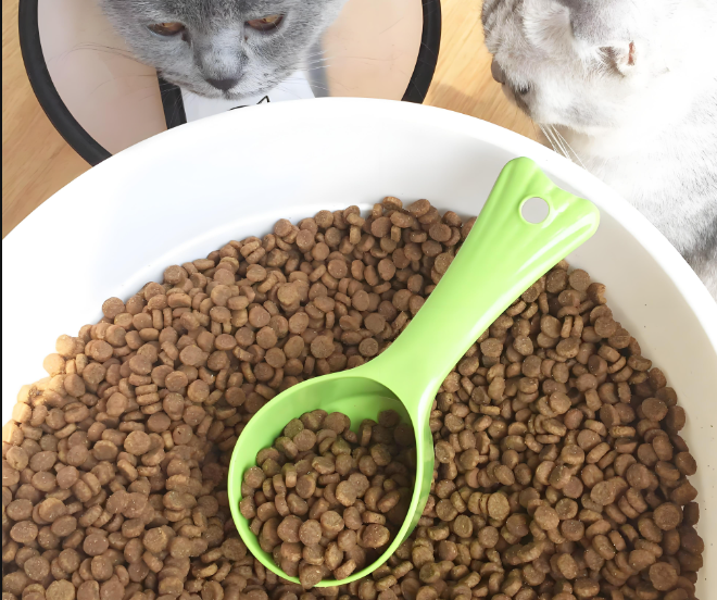 宠物食品检验测试服务：全方位守护宠物饮食安全！