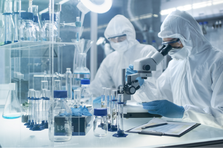 药品质量标准体系！