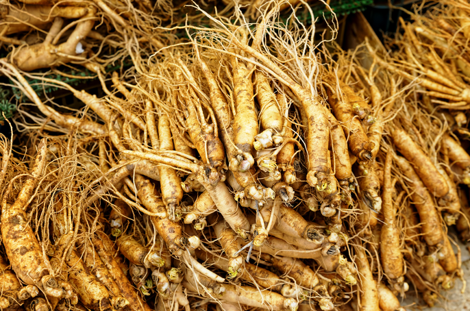 解析中药药效核心：入血成分分析助力中医药现代化发展！